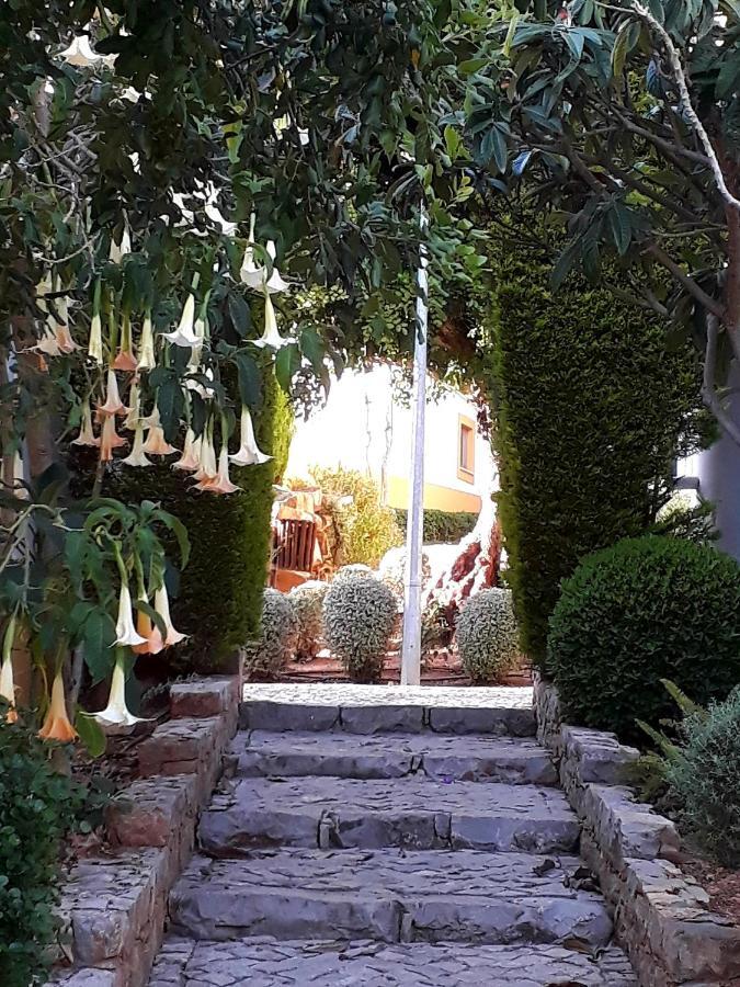 تافيرا Aparte Wohnung Mit Sudterrasse Am Park المظهر الخارجي الصورة